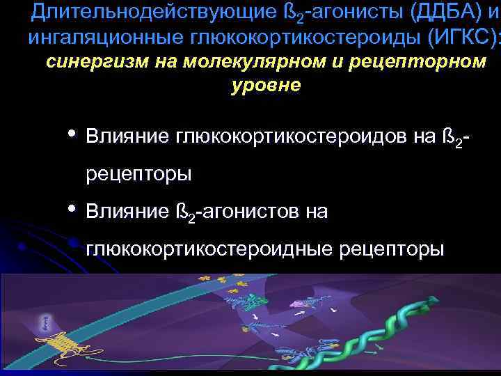 Длительнодействующие ß 2 -агонисты (ДДБА) и ингаляционные глюкокортикостероиды (ИГКС): синергизм на молекулярном и рецепторном