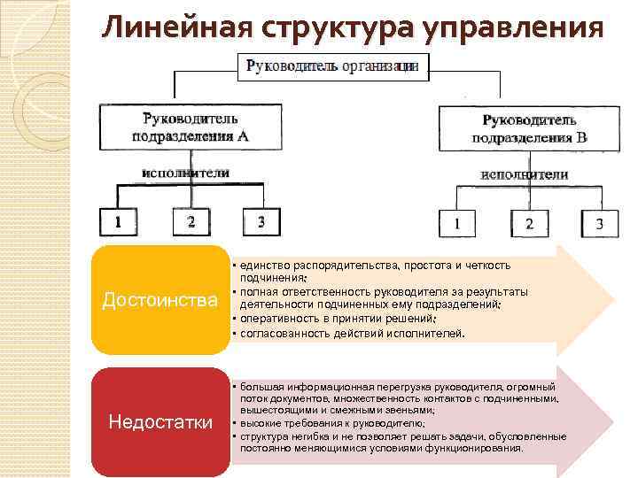 Структура управления деятельностью