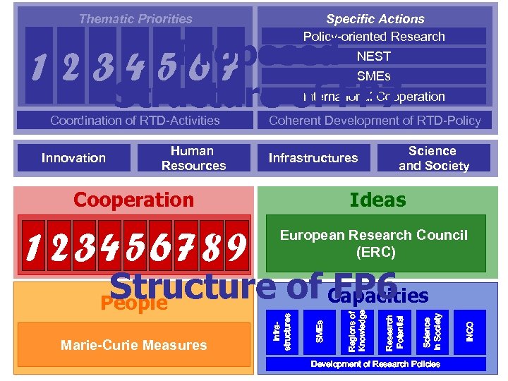Thematic Priorities 12 Specific Actions Policy-oriented Research Proposed 34567 Structure of FP 7 NEST