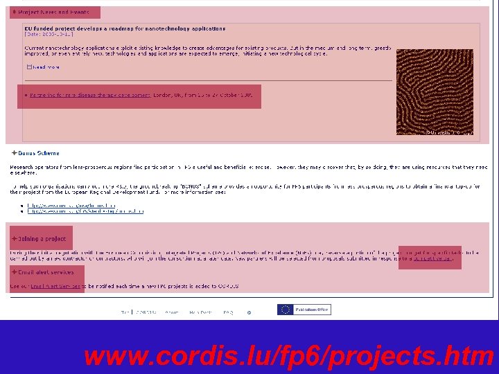 www. cordis. lu/fp 6/projects. htm 
