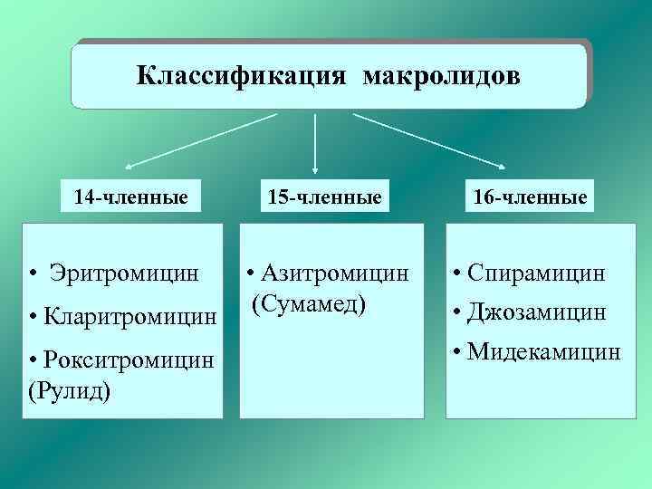 Классификация макролидов 14 -членные • Эритромицин • Кларитромицин • Рокситромицин (Рулид) 15 -членные 16