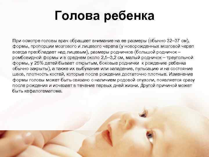 Голова ребенка При осмотре головы врач обращает внимание на ее размеры (обычно 32– 37