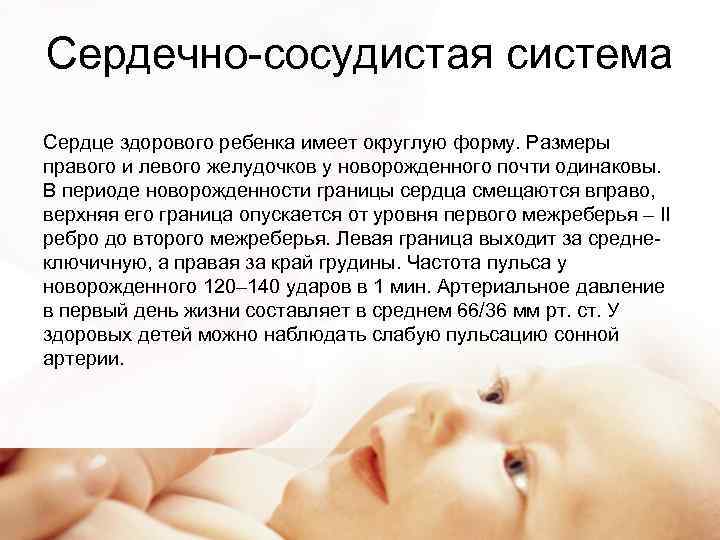 Сердечно-сосудистая система Сердце здорового ребенка имеет округлую форму. Размеры правого и левого желудочков у