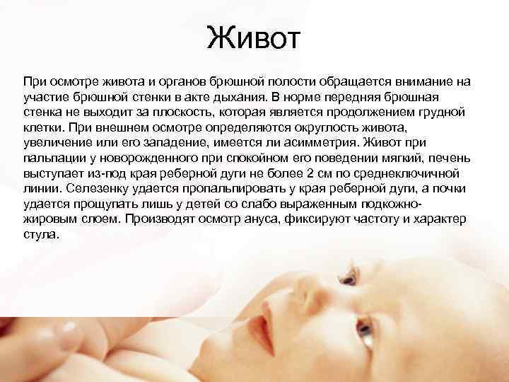 Живот При осмотре живота и органов брюшной полости обращается внимание на участие брюшной стенки