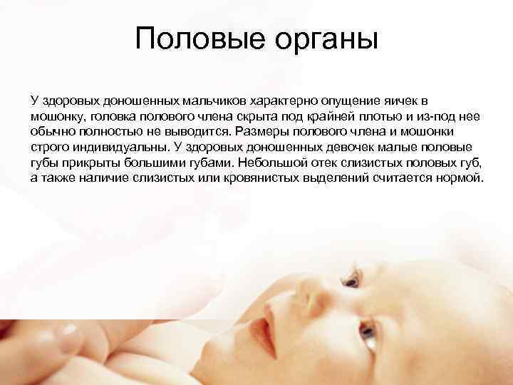 Половые органы У здоровых доношенных мальчиков характерно опущение яичек в мошонку, головка полового члена