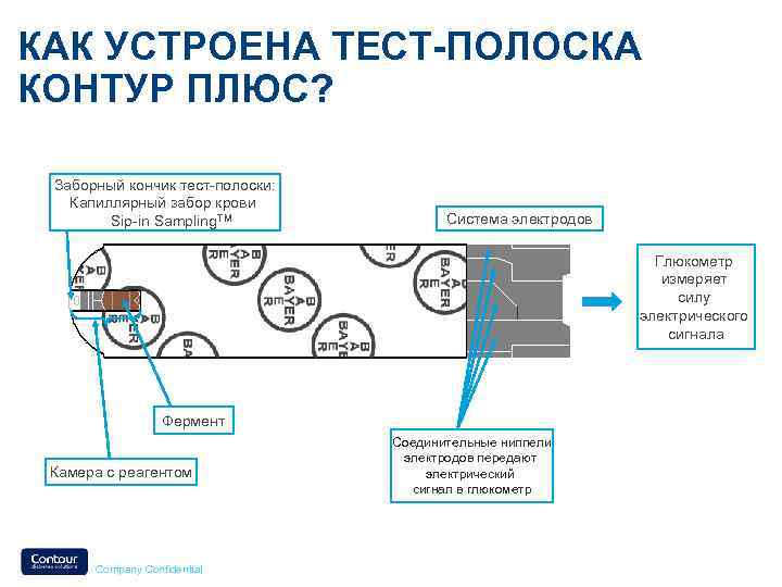 Как устроен день. Электрохимический глюкометр схема. Принцип работы тест полосок глюкометра. Схема работы глюкометра. Принцип работы измерителя сахара в крови.