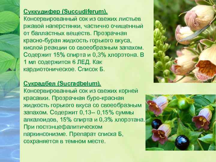 Суккудифер (Succudiferum). Консервированный сок из свежих листьев ржавой наперстянки, частично очищенный от балластных веществ.