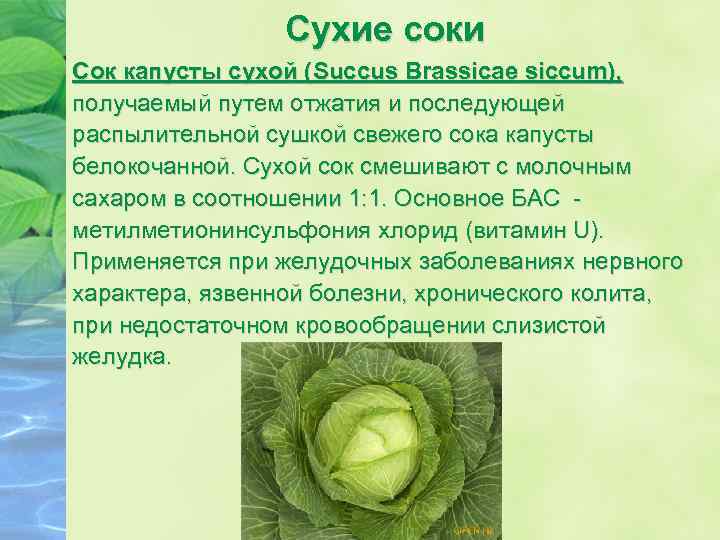 Сухие соки Сок капусты сухой (Succus Brassicae siccum), получаемый путем отжатия и последующей распылительной