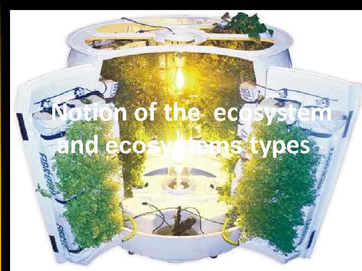 Notion of the ecosystem and ecosystems types Notion of the ecosystem and its components