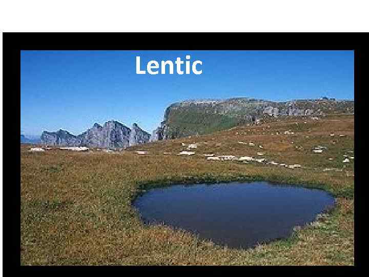 Lentic 