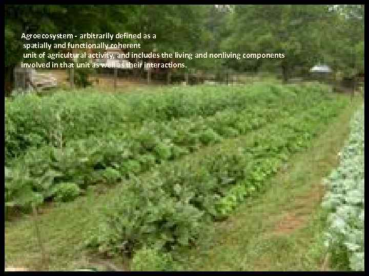 Agroecosystem - arbitrarily defined as a spatially and functionally coherent unit of agricultural activity,