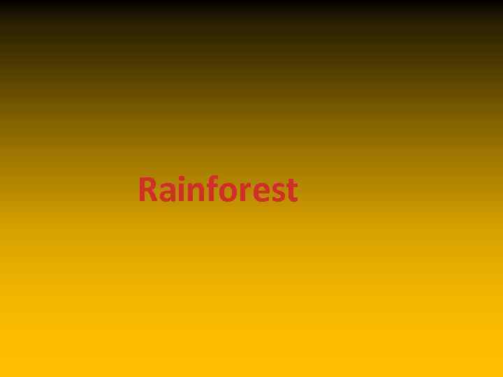 Rainforest 