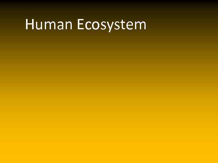 Human Ecosystem 