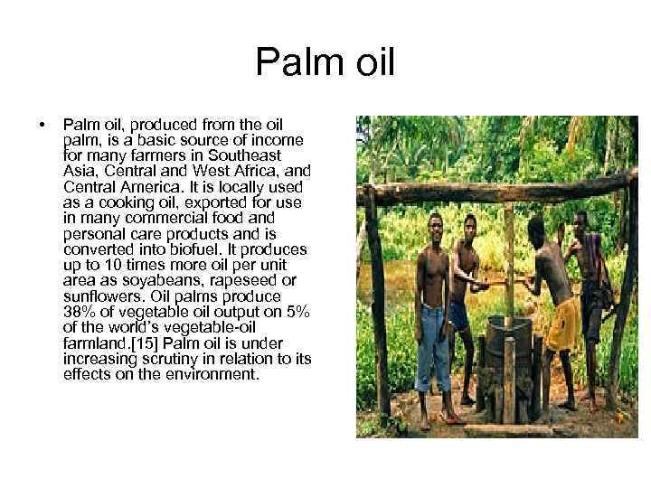 Palm oil • Palm oil, produced from the oil palm, is a basic source