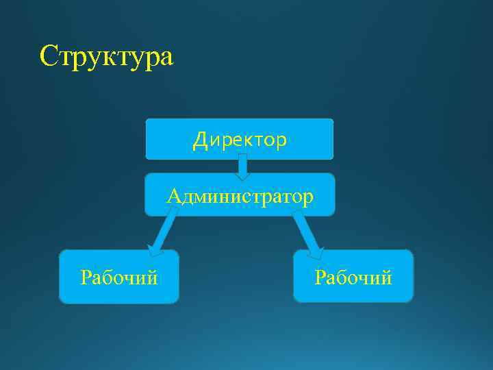 Структура Директор Администратор Рабочий 
