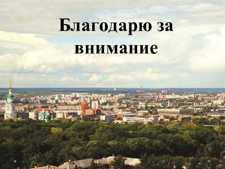 Благодарю за внимание 