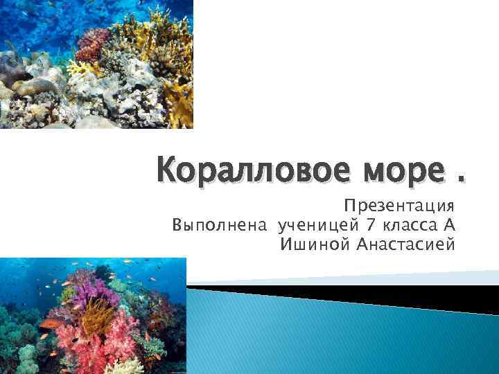 Коралловое море. Презентация Выполнена ученицей 7 класса А Ишиной Анастасией 