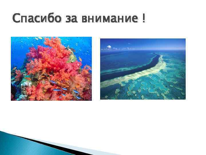 Спасибо за внимание ! 