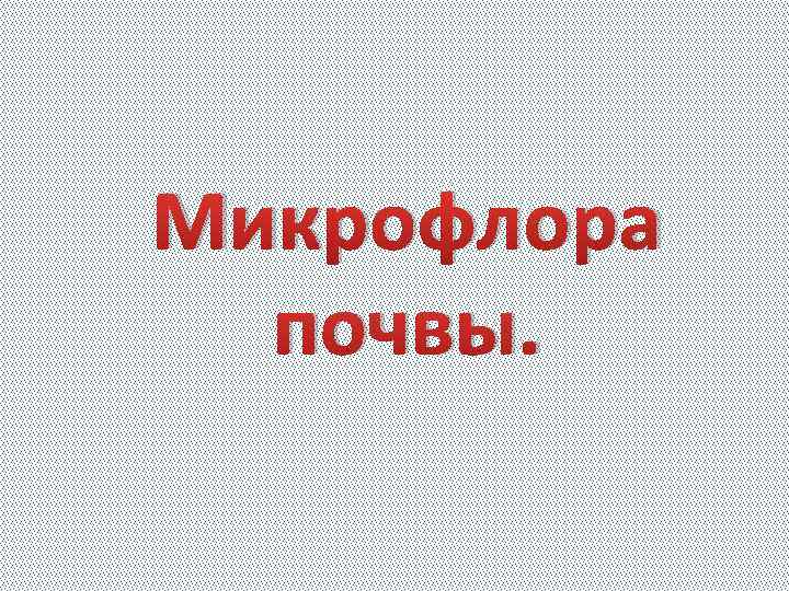 Микрофлора почвы. 