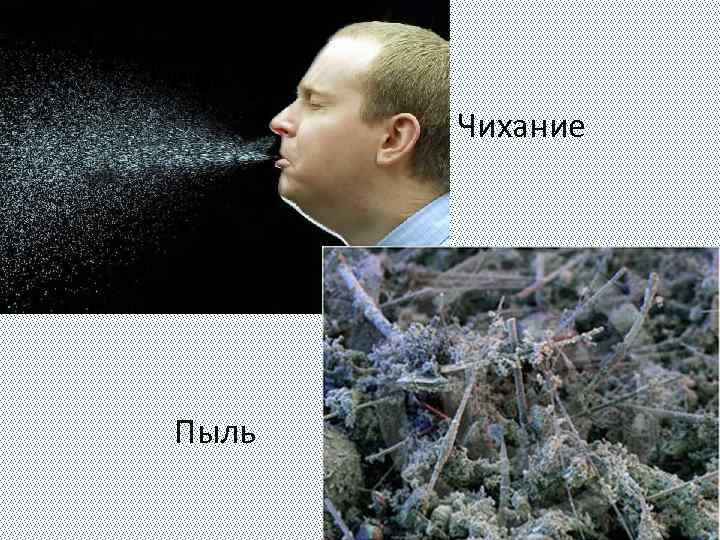 Чихание Пыль 