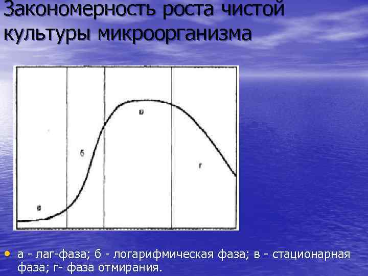 Закономерность роста чистой культуры микроорганизма • а - лаг-фаза; б - логарифмическая фаза; в