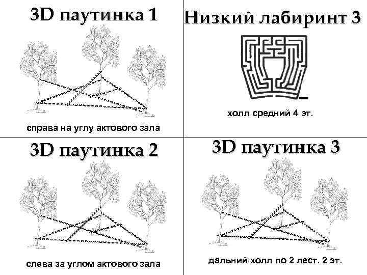 3 D паутинка 1 Низкий лабиринт 3 холл средний 4 эт. справа на углу