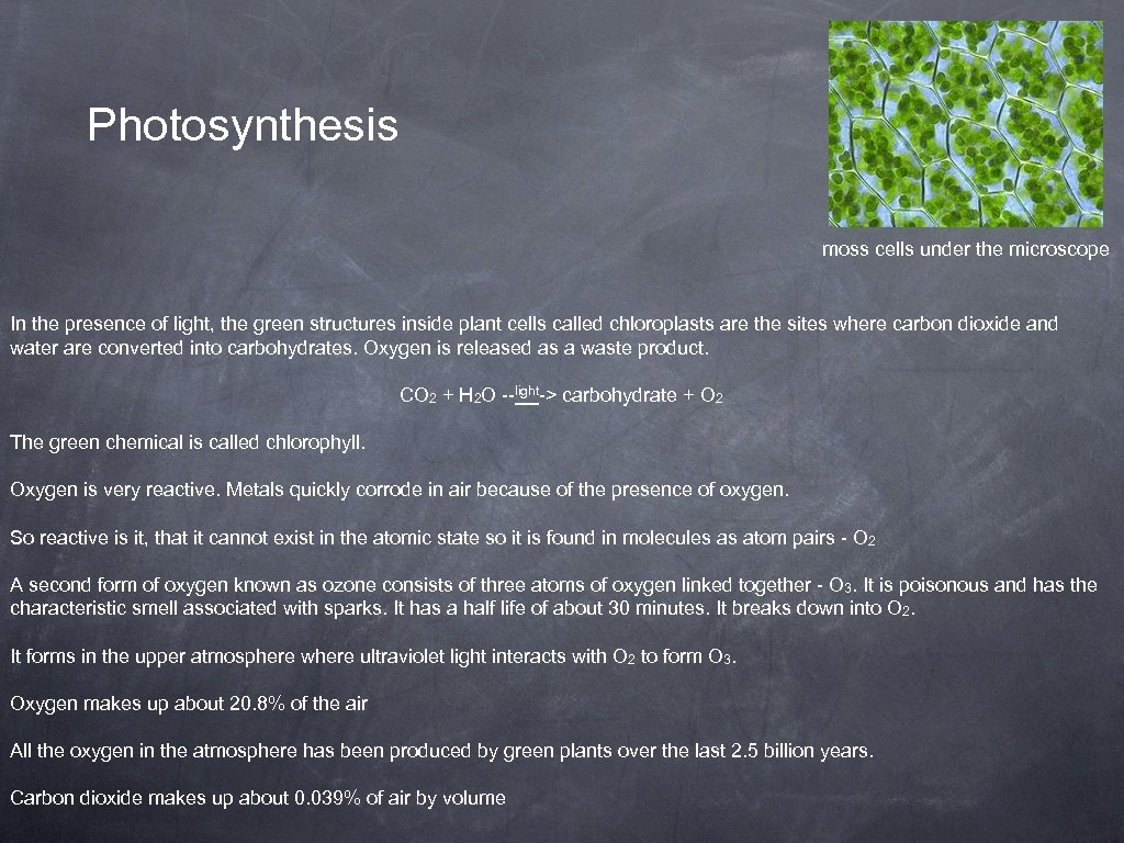 Photosynthesis moss cells under the microscope In the presence of light, the green structures