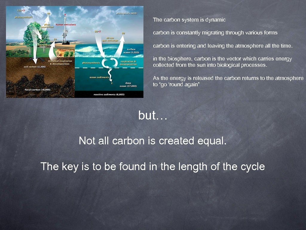 The carbon system is dynamic carbon is constantly migrating through various forms carbon is