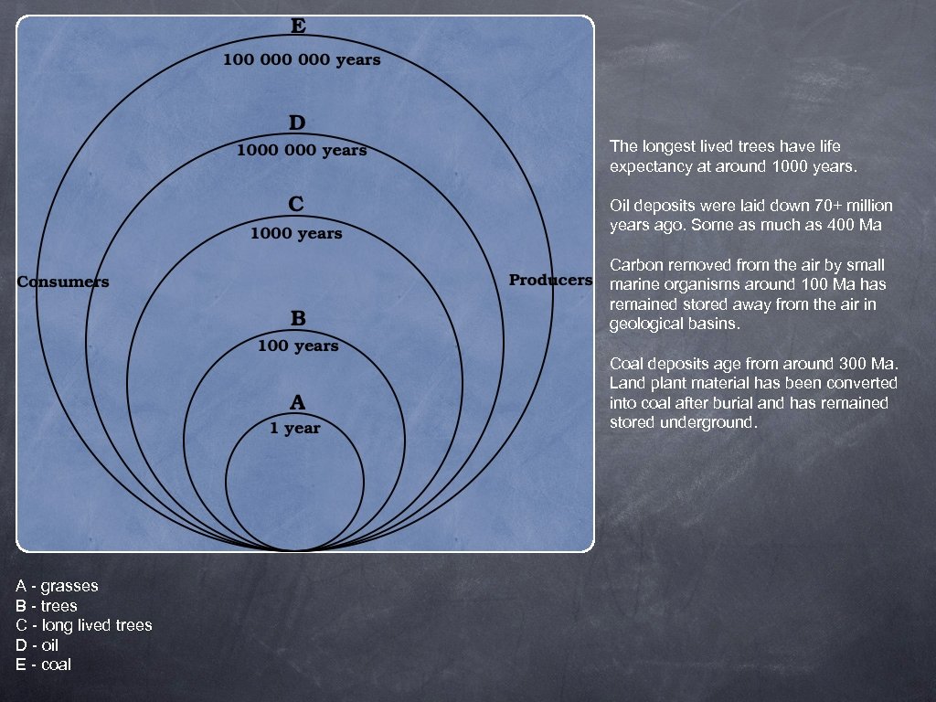 The longest lived trees have life expectancy at around 1000 years. Oil deposits were