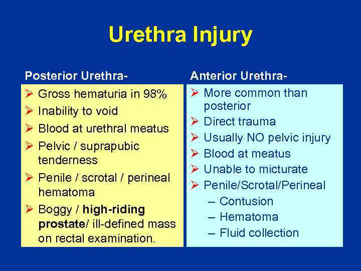 Urethra Injury Posterior UrethraØ Gross hematuria in 98% Ø Inability to void Ø Blood