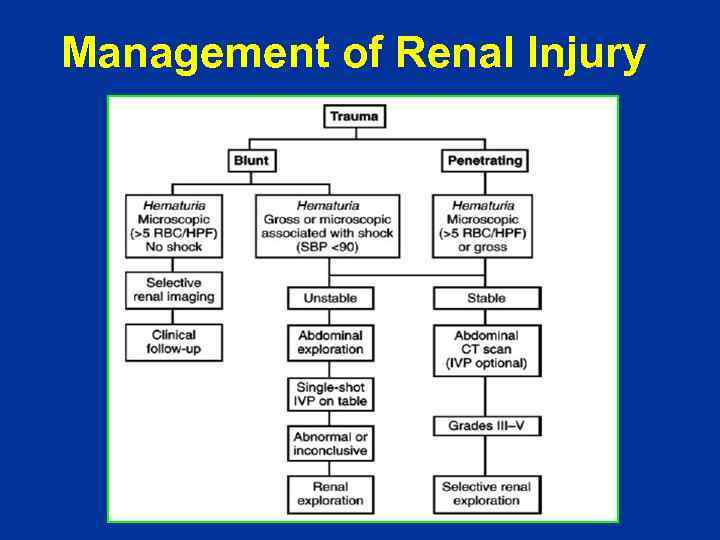 Management of Renal Injury 