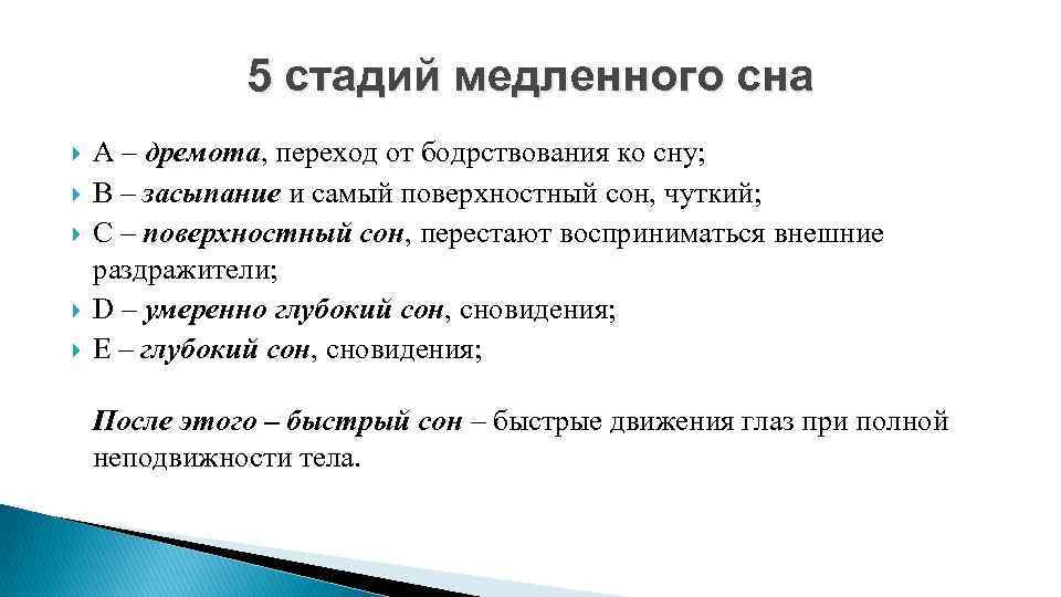 5 стадий медленного сна А – дремота, переход от бодрствования ко сну; В –