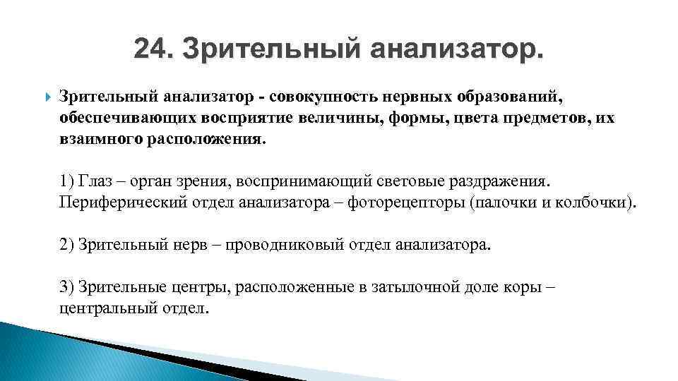 24. Зрительный анализатор - совокупность нервных образований, обеспечивающих восприятие величины, формы, цвета предметов, их