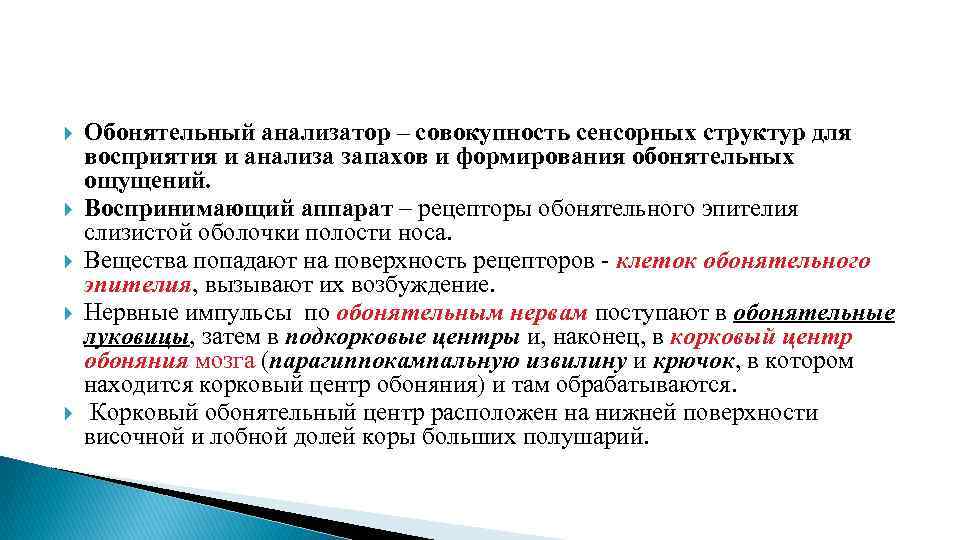  Обонятельный анализатор – совокупность сенсорных структур для восприятия и анализа запахов и формирования