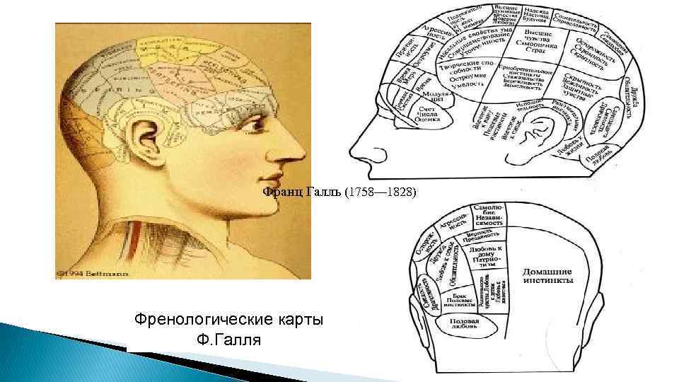 Френологическая карта галля