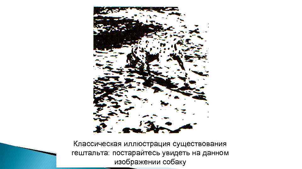 Классическая иллюстрация существования гештальта: постарайтесь увидеть на данном изображении собаку 
