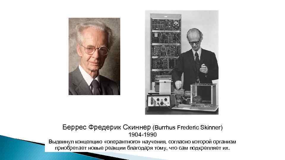 Выдвинуть концепцию. Беррес Скиннер (1904 - 1988). Бе́ррес Фредерик Скиннер концепция. . Беррес Фредерик Скиннер (1904-1990, США). Беррес Фредерик Скиннер и Джордж Миллер.