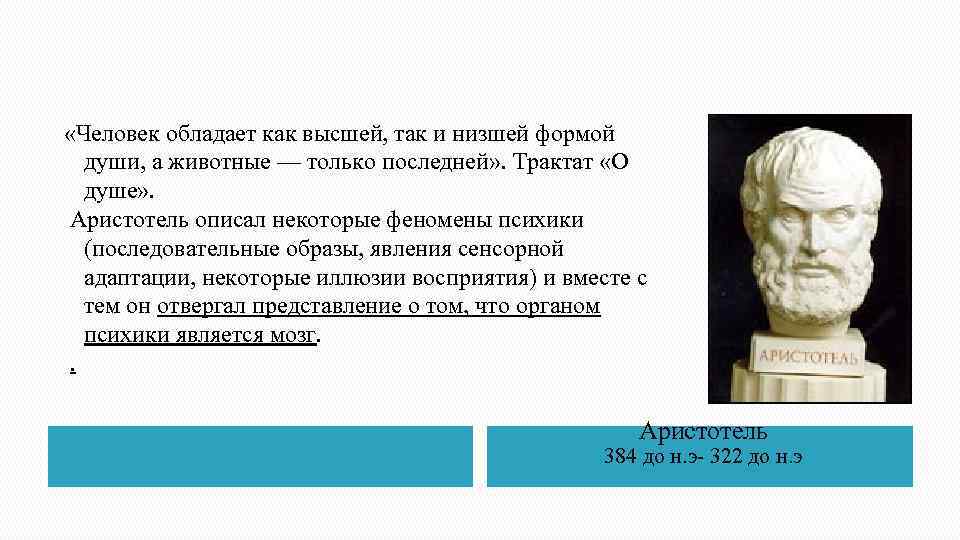  «Человек обладает как высшей, так и низшей формой души, а животные — только