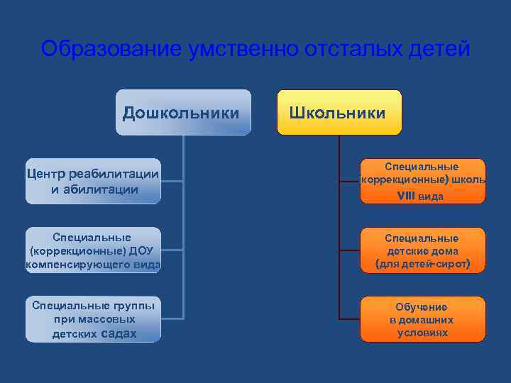 Образование умственно отсталых детей Дошкольники Центр реабилитации и абилитации Школьники Специальные (коррекционные) школы VIII