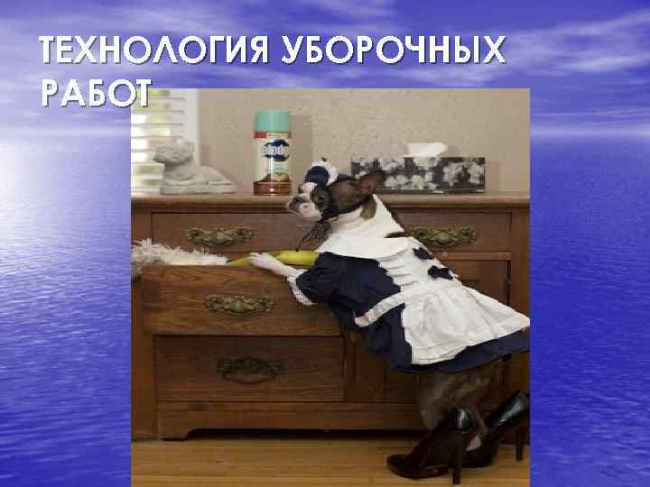 ТЕХНОЛОГИЯ УБОРОЧНЫХ РАБОТ 