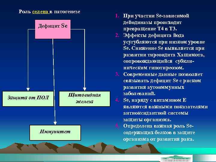 Роль селена в патогенезе Дефицит Se Защита от ПОЛ Щитовидная железа Иммунитет 1. При