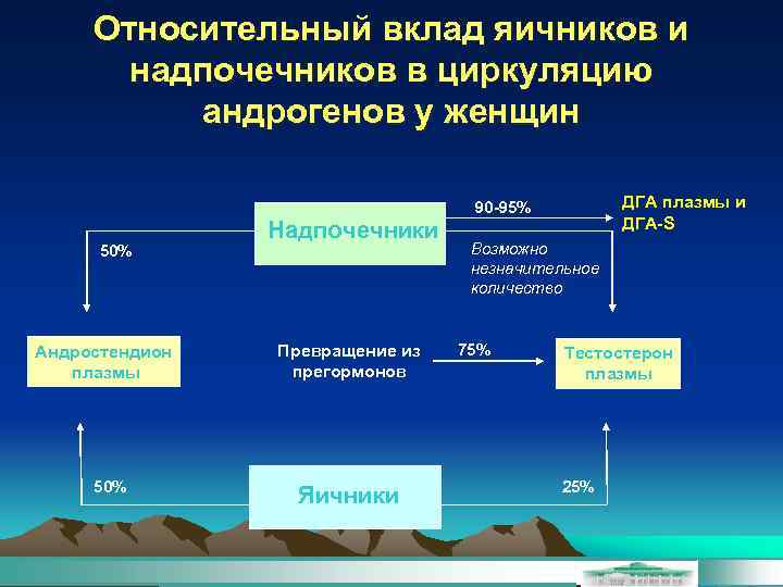 Относительный вклад яичников и надпочечников в циркуляцию андрогенов у женщин ДГА плазмы и ДГА-S