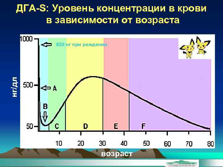 ДГА-S: Уровень концентрации в крови в зависимости от возраста нг/дл 920 нг при рождении
