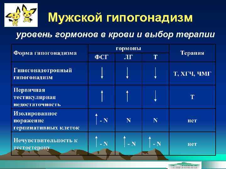 Мужской гипогонадизм уровень гормонов в крови и выбор терапии 