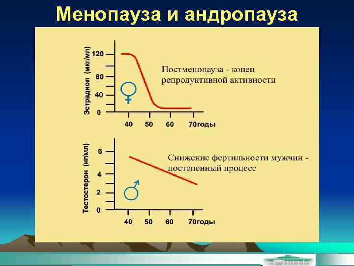 Менопауза и андропауза 