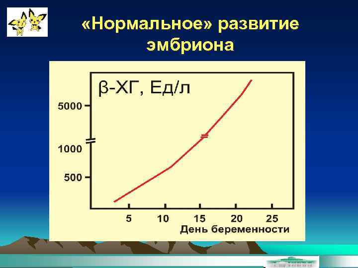  «Нормальное» развитие эмбриона 