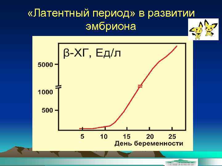  «Латентный период» в развитии эмбриона 
