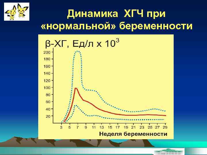Динамика ХГЧ при «нормальной» беременности 
