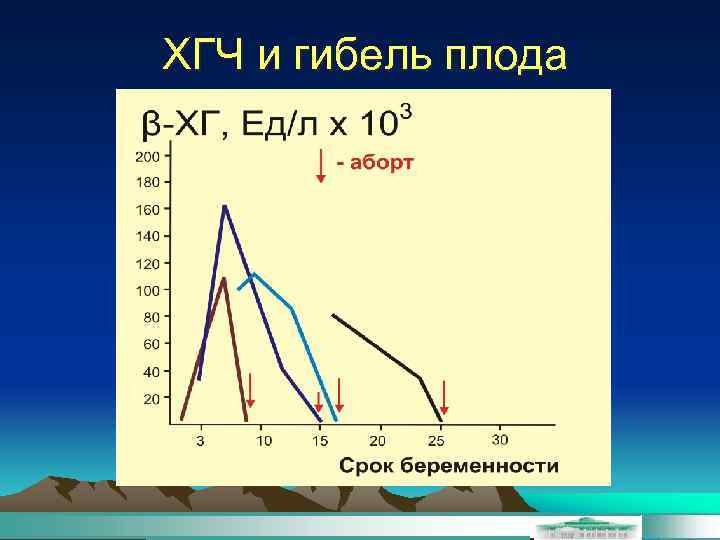 ХГЧ и гибель плода 