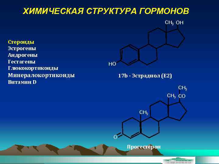 ХИМИЧЕСКАЯ СТРУКТУРА ГОРМОНОВ CH 3 OH Стероиды Эстрогены Андрогены Гестагены Глюкокортикоиды HO Минералокортикоиды 17